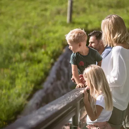 Apartman Herzog - Urban Luxury Lifestyle Direct At Steinbergpiste And Steinbergbahn Leogang